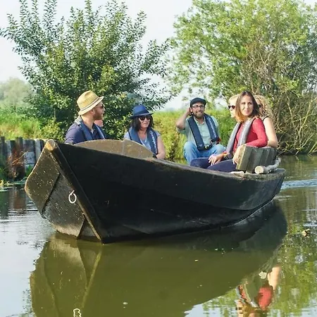 De La Chicoree Saint-Folquin