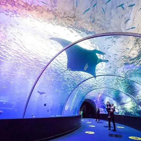 Διαμέρισμα De La Chicoree Saint-Folquin