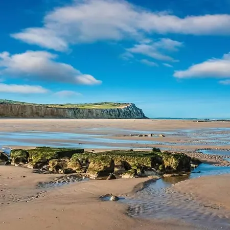 De La Chicoree * Saint-Folquin