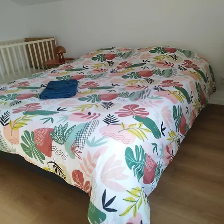 Apartment De La Chicoree *