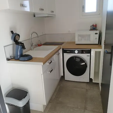 De La Chicoree Saint-Folquin